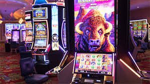 bet585
